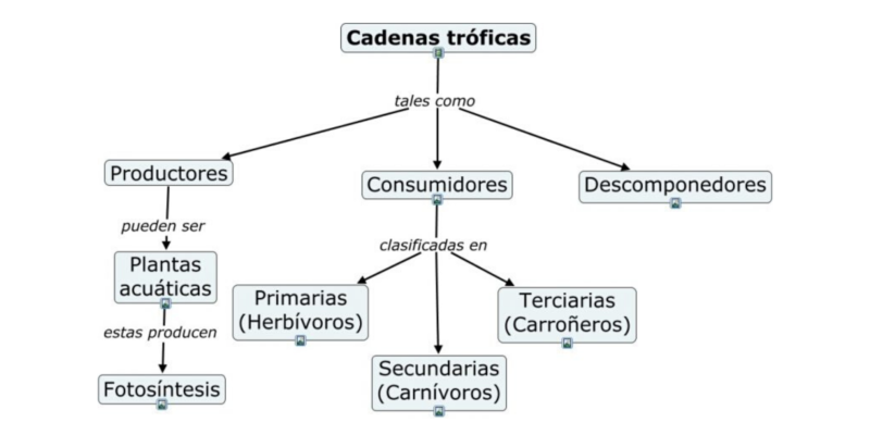 Mapa conceptual